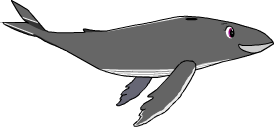 swimming whale